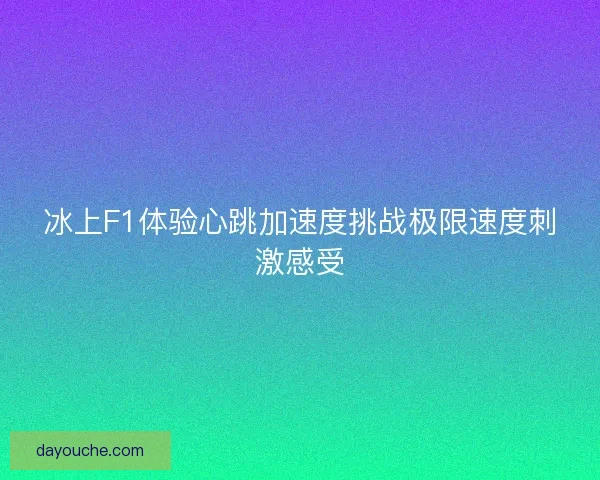 冰上F1体验心跳加速度挑战极限速度刺激感受